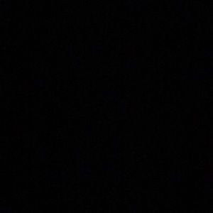 Meet your Posher, Maia